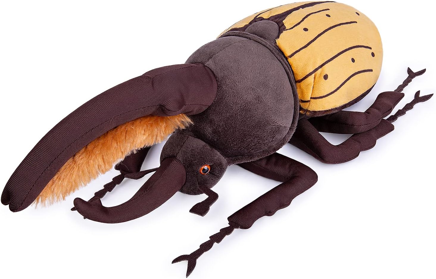 カブトムシ最大 [検討後35個研究後]
