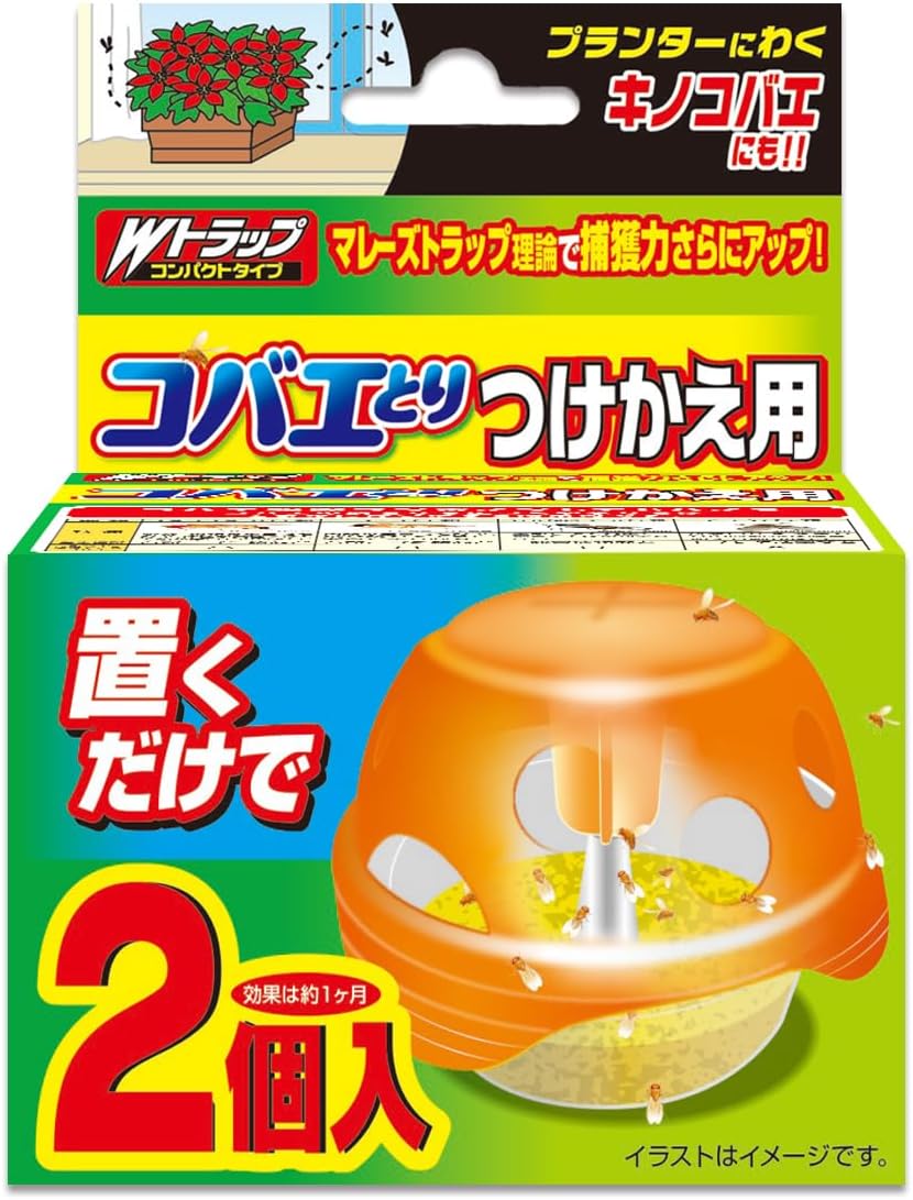 ライオン 最強 「私達42個研究後」