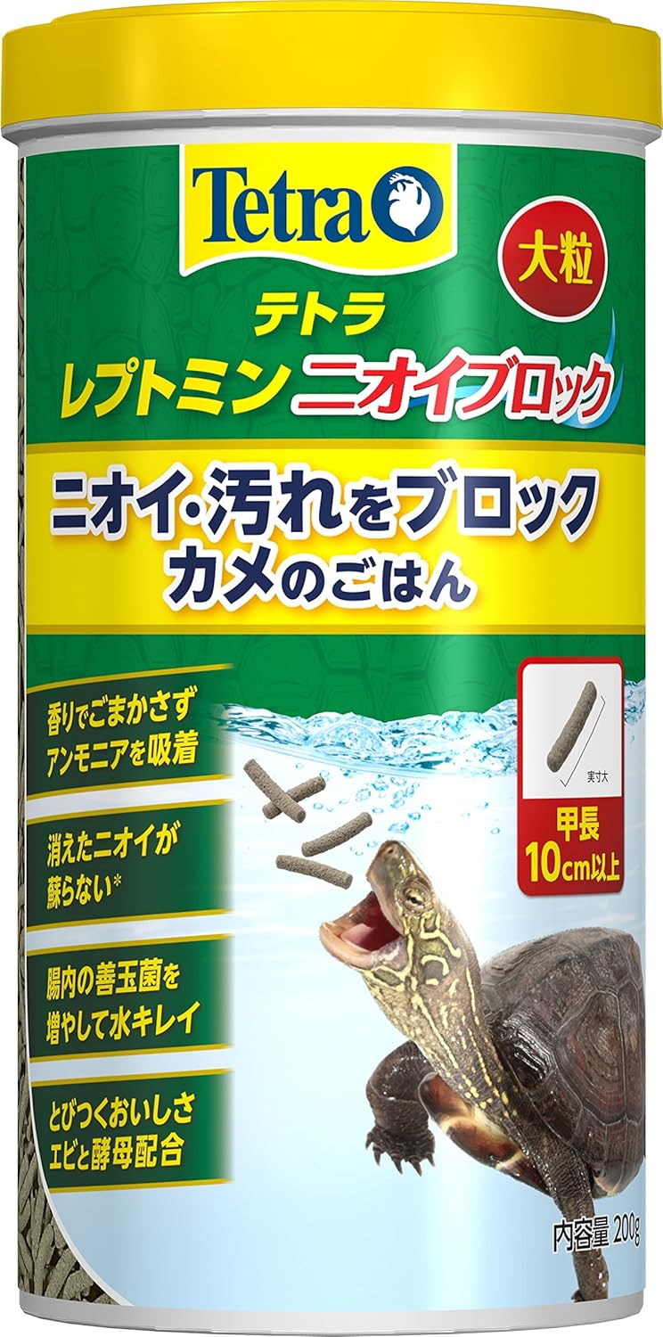 高級 カメ 「私達35個研究後」