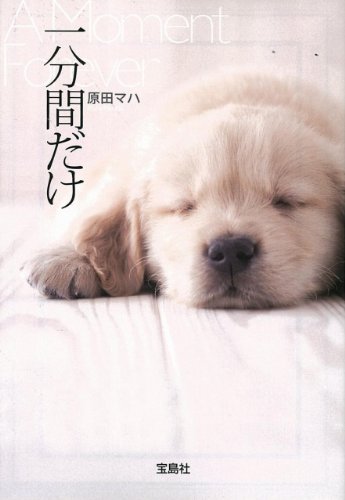 原田マハ最新 [検討後38個研究後]