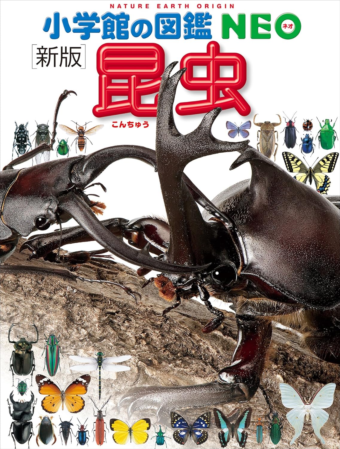 昆虫最強 [検討後35個研究後]