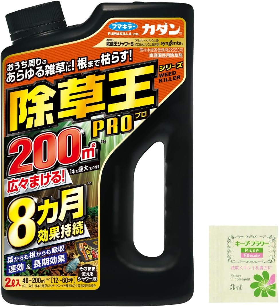 最強の雑草 [検討後41個研究後]
